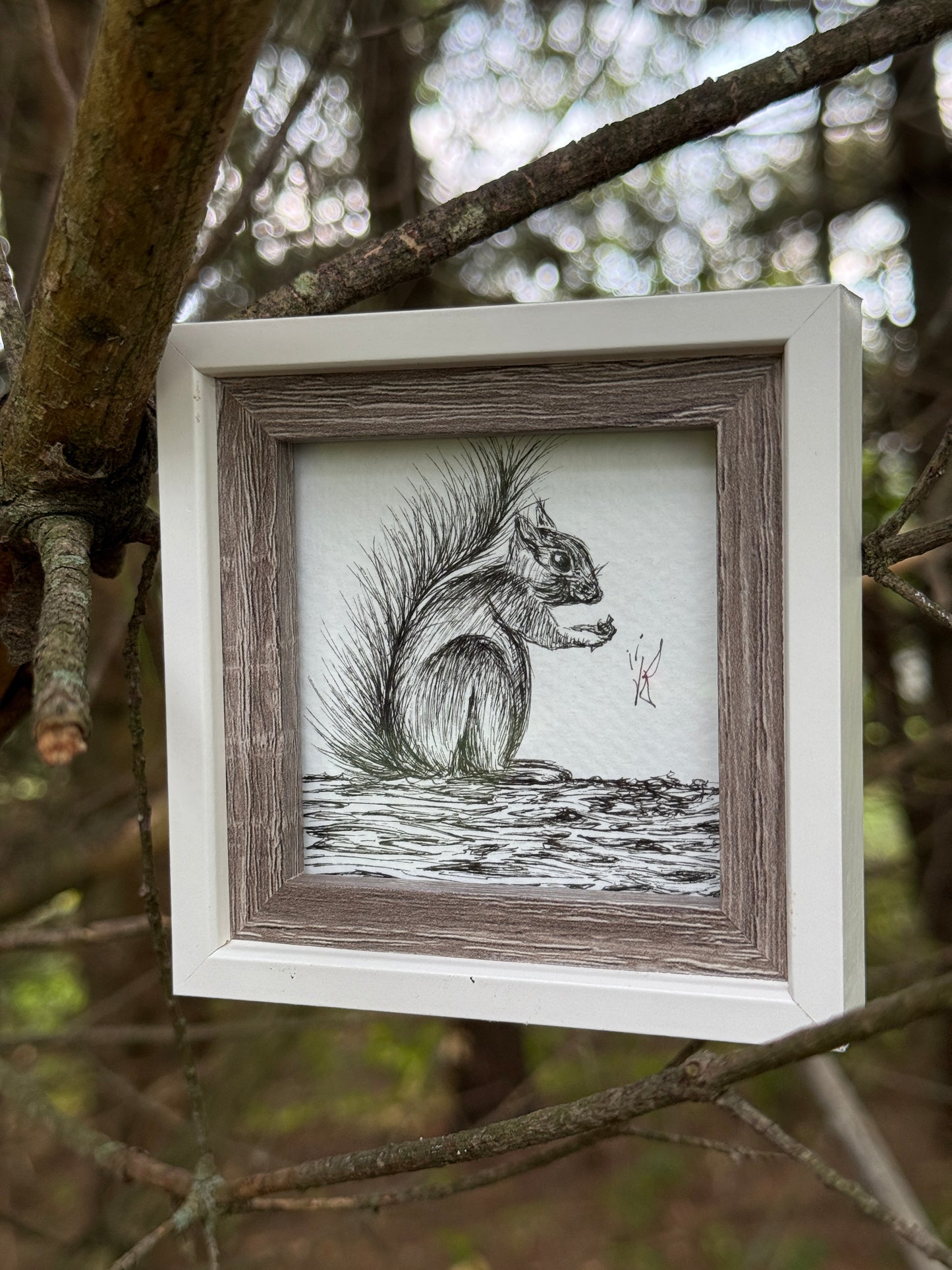 Squirrel Art Original – Hand-Drawn Black and White Woodland Animal Illustration