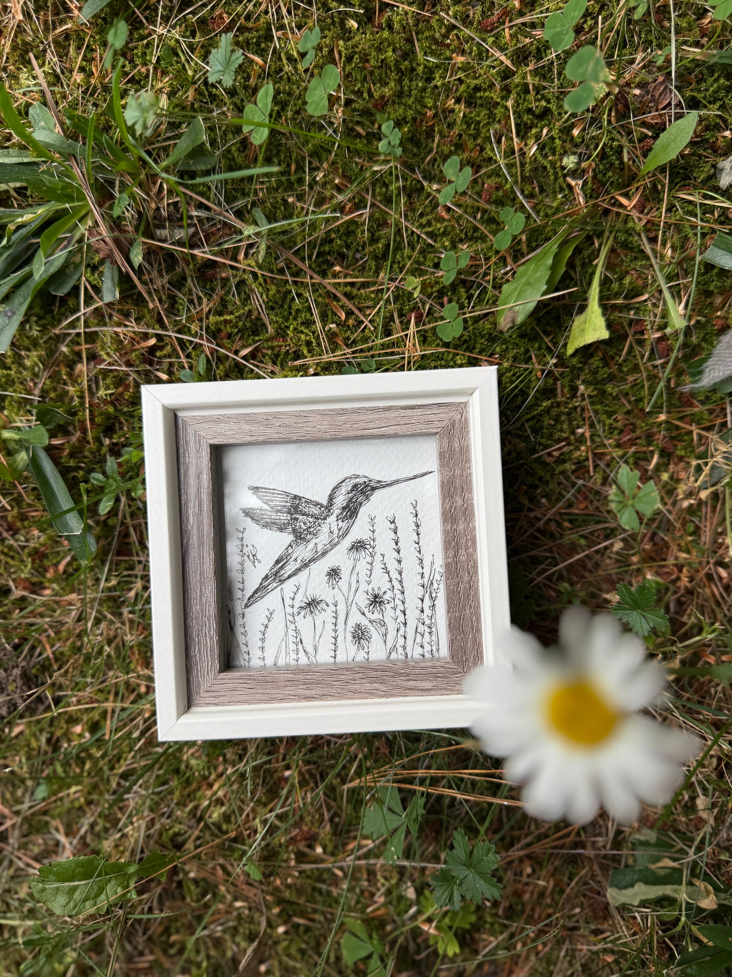 Hummingbird Amongst the Wildflowers - Original – Hand-Drawn Black and White Botanical Illustration