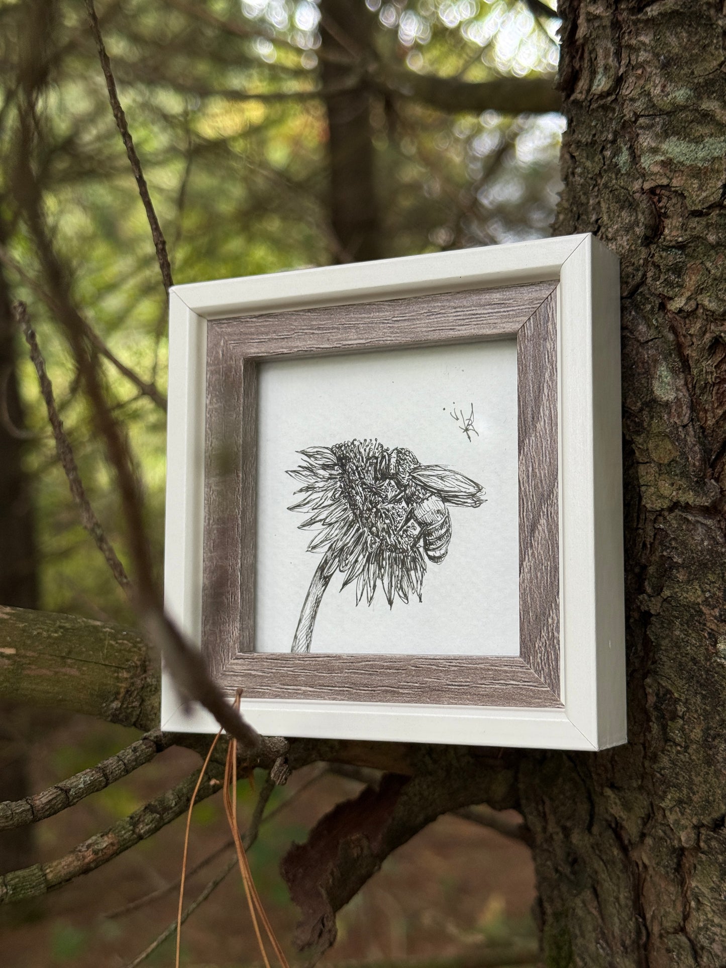 Framed black and white drawing of a flower against a natural background