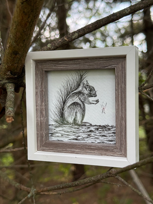 Squirrel Art Original – Hand-Drawn Black and White Woodland Animal Illustration