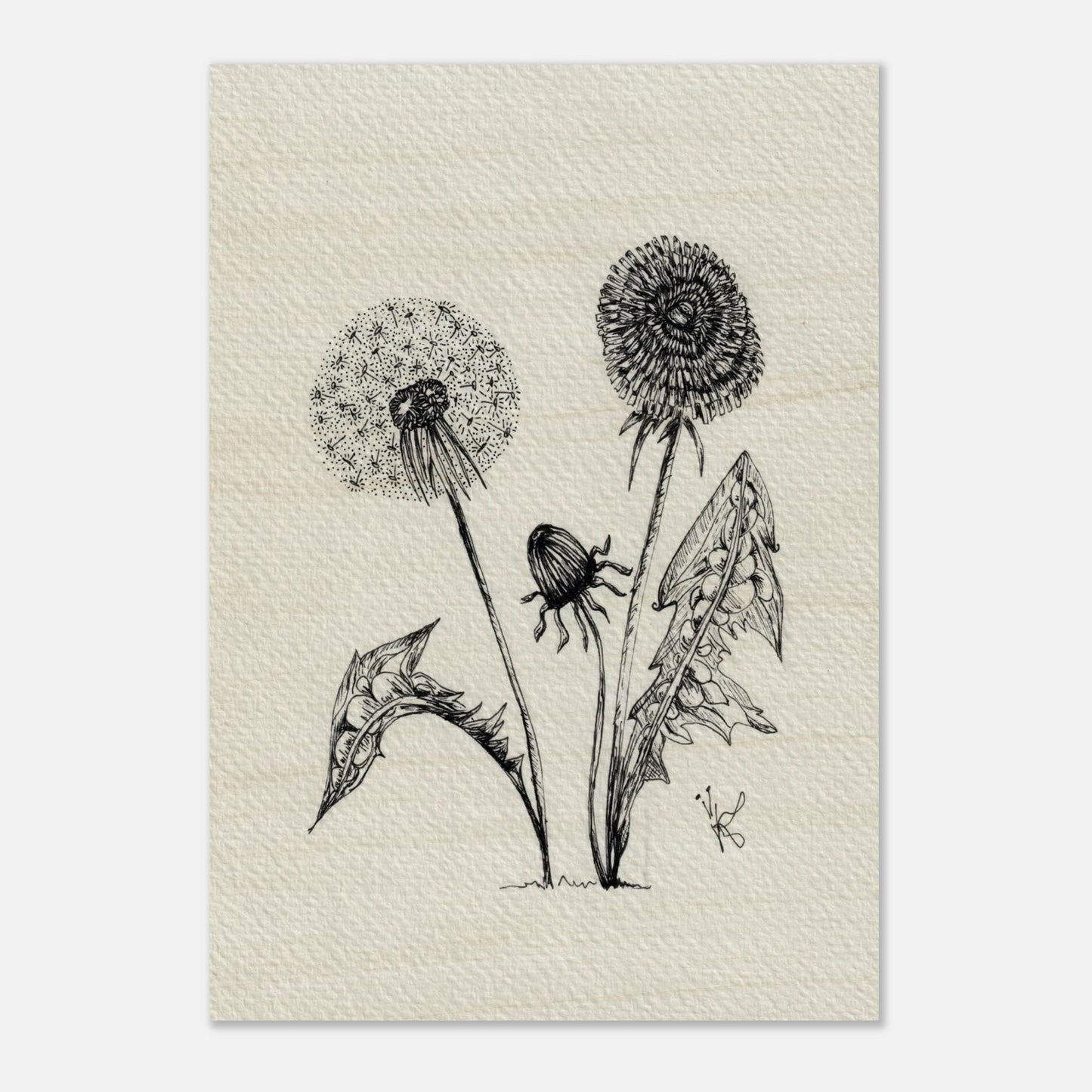 2db374bd-cb38-487a-b656-28c2bf357ef3