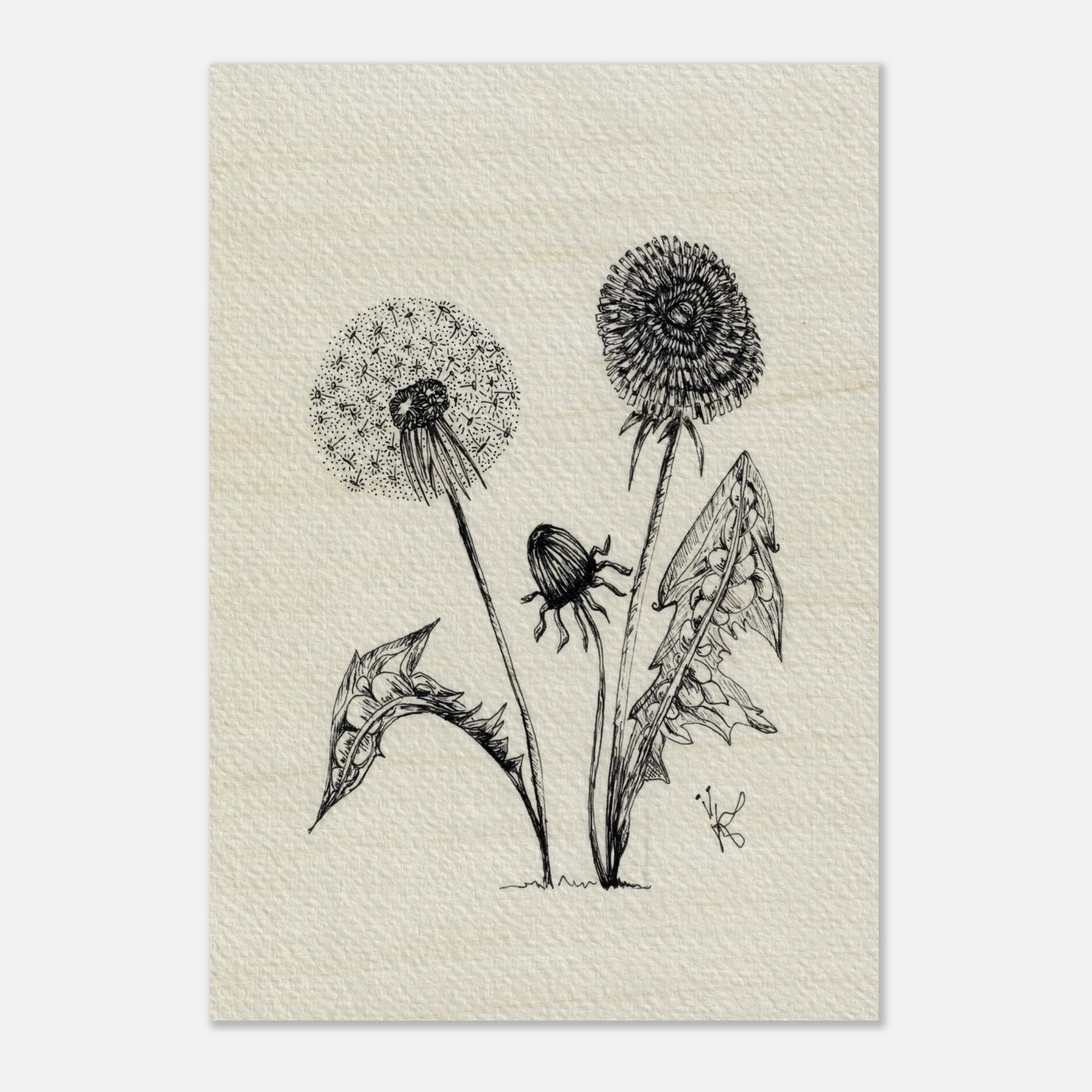 2db374bd-cb38-487a-b656-28c2bf357ef3