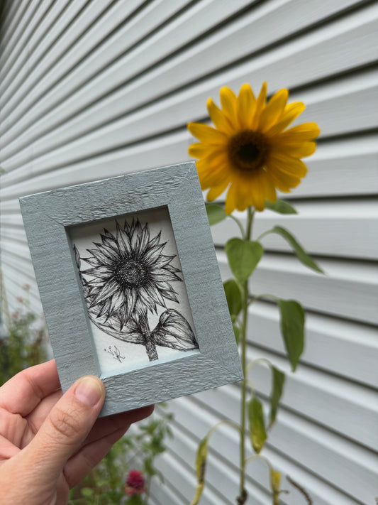 Sunflower Original – Hand-Drawn Black and White Botanical Illustration