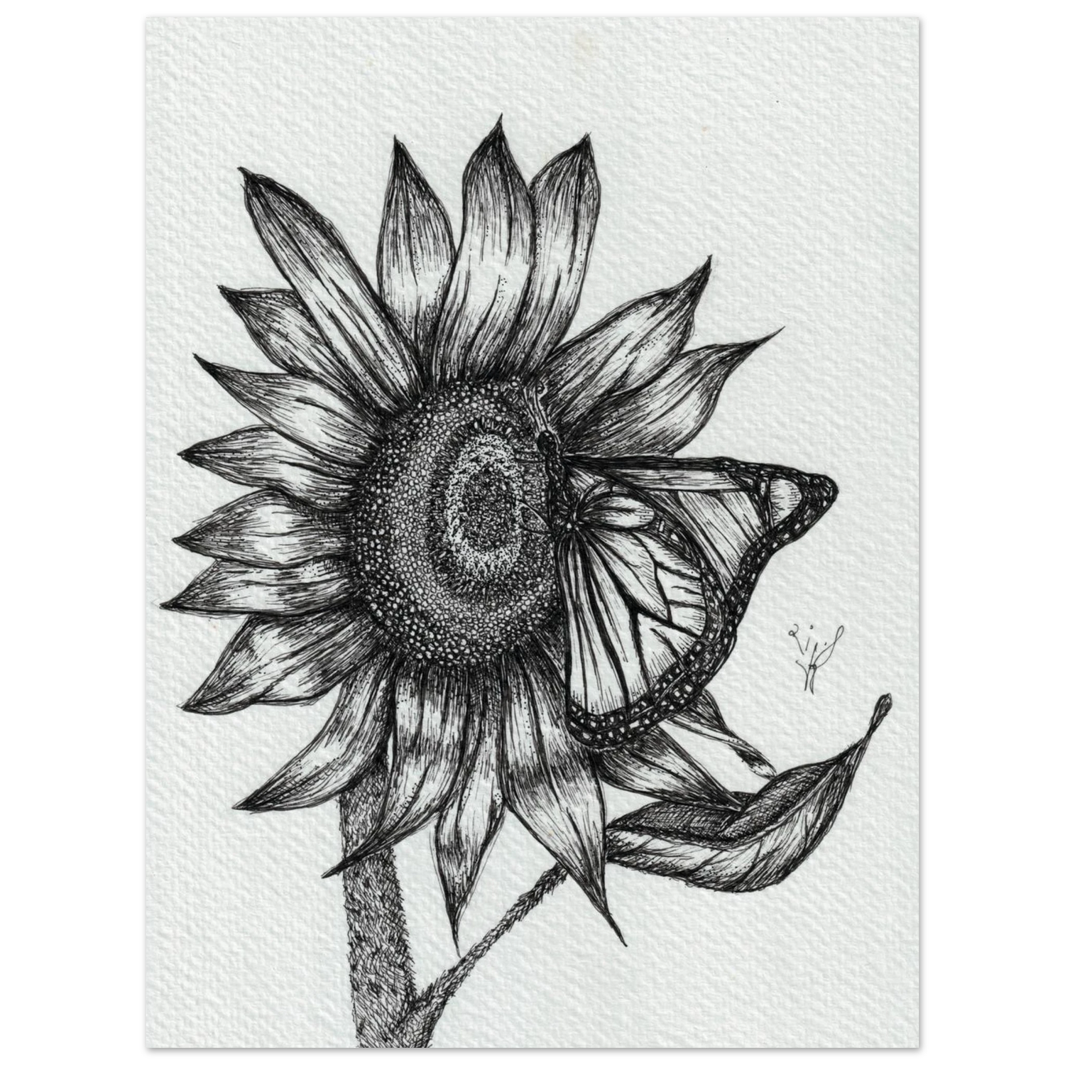 9cedf39d-99c7-444e-a41e-2a66f30e4038