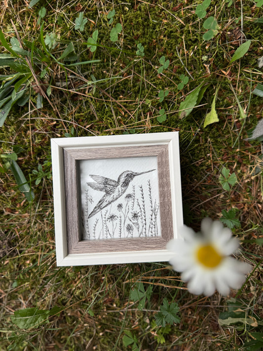 Hummingbird Amongst the Wildflowers - Original – Hand-Drawn Black and White Botanical Illustration