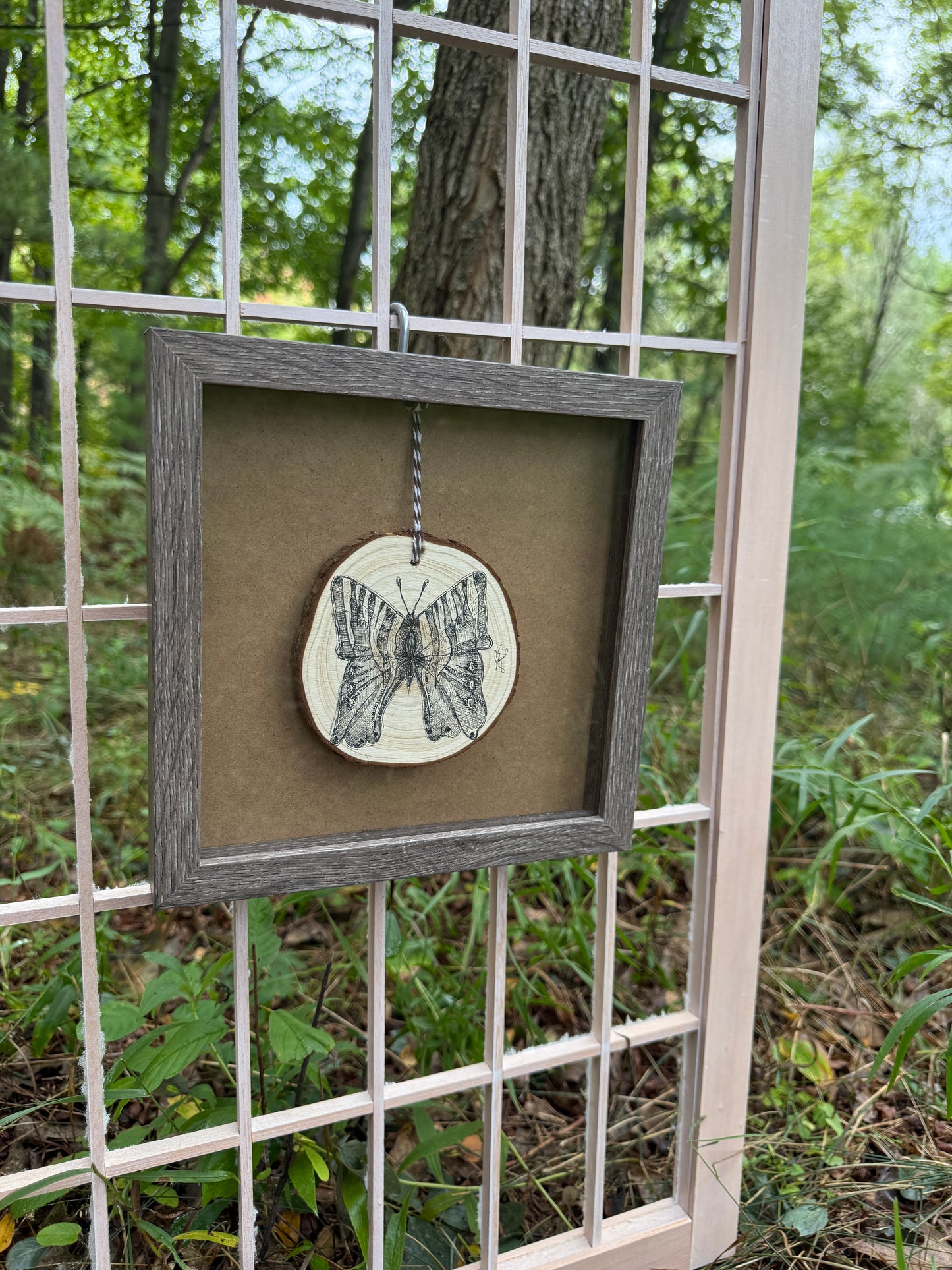 Butterfly - Original - Hand Drawn Black Ink on Wood