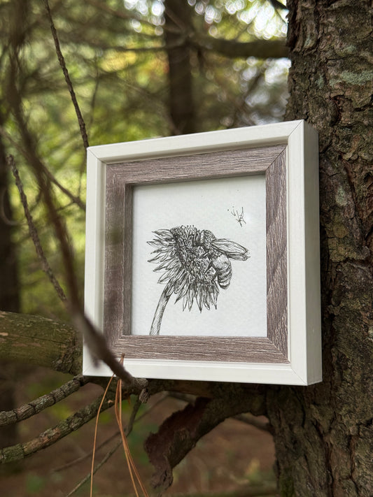 Framed black and white drawing of a flower against a natural background